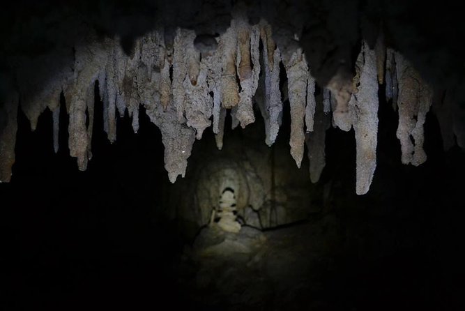 Hidden Cenote exploration in Playa del Carmen - Private tour dynamics: what changes when it is just your group