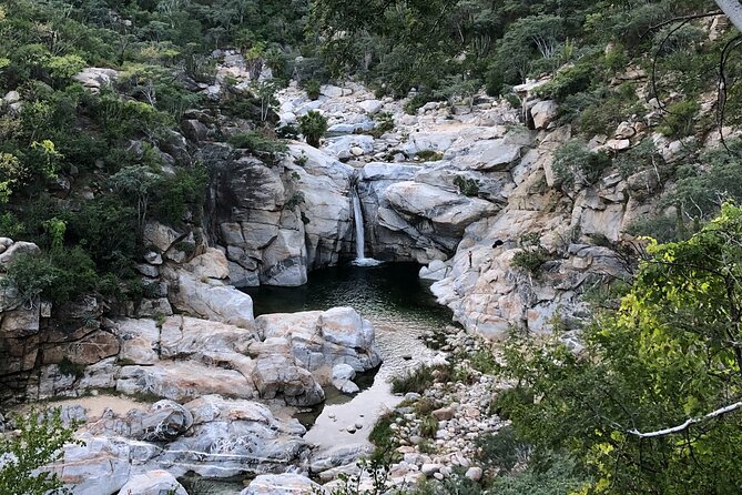 Hidden Waterfalls Hiking Adventure - Hidden Waterfalls Day Trips: What Makes It Special