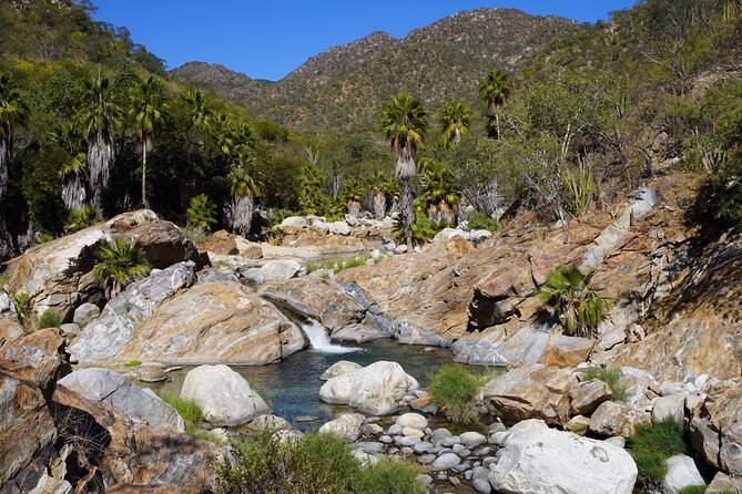 Hidden Waterfalls Hiking Adventure - Why This Costs $180: The Value Breakdown You Can Feel
