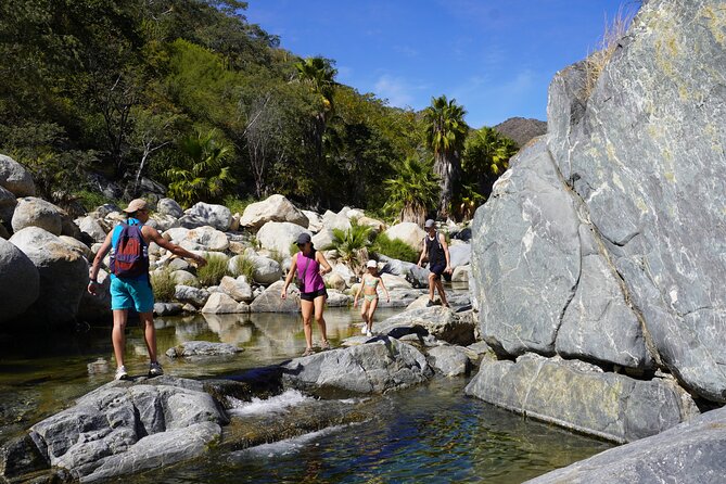 Hidden Waterfalls Hiking Adventure - Waterfalls Plus Wildlife Details: What Your Guide Adds