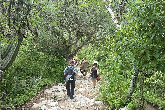 Hierve el Agua Early Tour with Pickup + smoke-kitchen - Price and Value: What $49.99 Really Covers (and What It Does Not)
