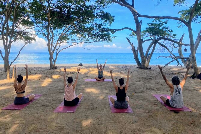 Hike and Yoga Jungle Experience in Mexico - Key things that make this tour worth your morning