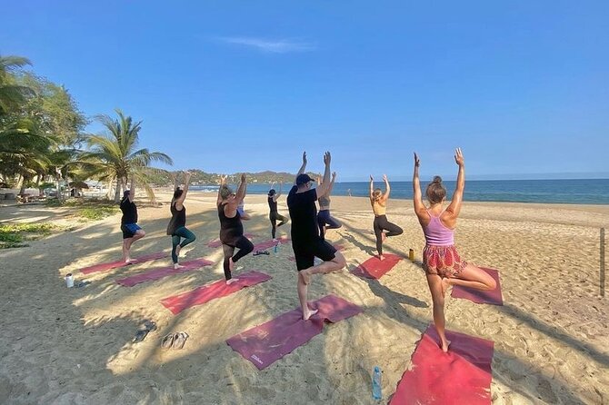 Hike and Yoga Jungle Experience in Mexico - Getting There: Meeting Point, Start Time, and What to Expect