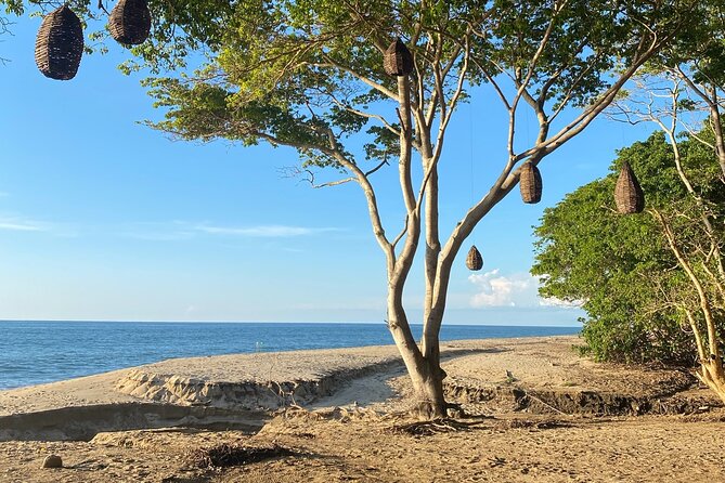 Hike and Yoga Jungle Experience in Mexico - The Value Call: Why $30 Feels Fair for What You Get