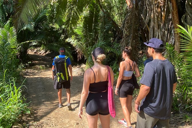 Hike and Yoga Jungle Experience in Mexico - The 1.5 Mile Jungle Hike Through Sayulita’s Wild Side