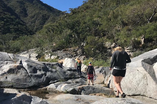 Hike the native Pericu road in Sierra de la Laguna. - Key highlights at a glance