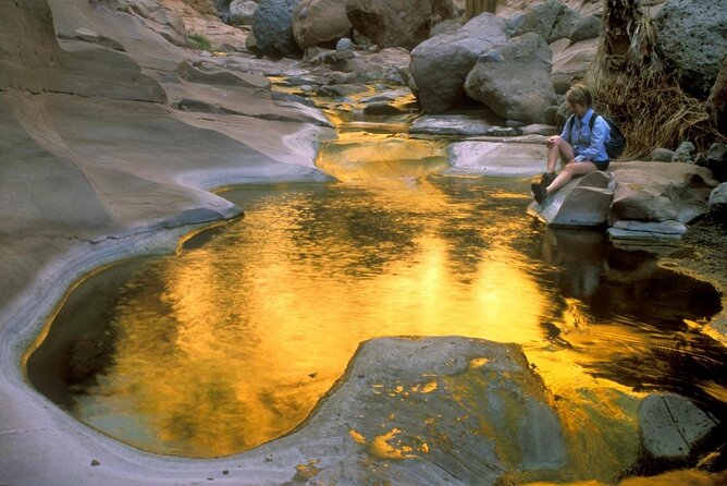 Hike the native Pericu road in Sierra de la Laguna. - Why This Pericu Road Hike Beats a Standard Cabo Excursion