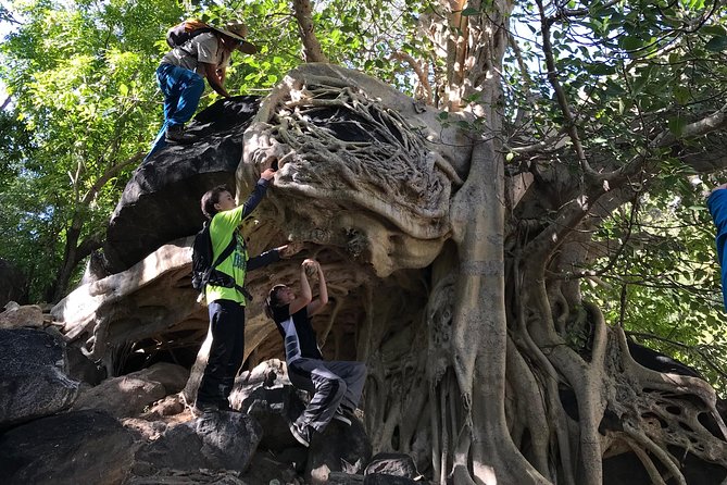 Hike the native Pericu road in Sierra de la Laguna. - Sierra La Laguna Hike: Canyons, Riverbeds, and Natural Water Springs