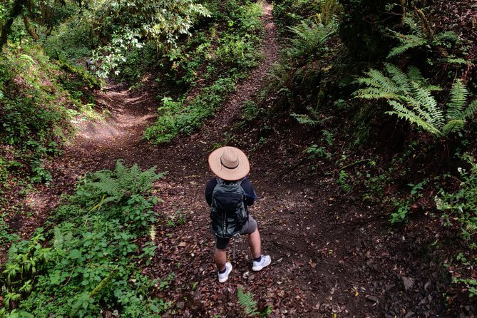 Hiking in the Sierra Norte of Oaxaca - Key Things I’d Plan Around