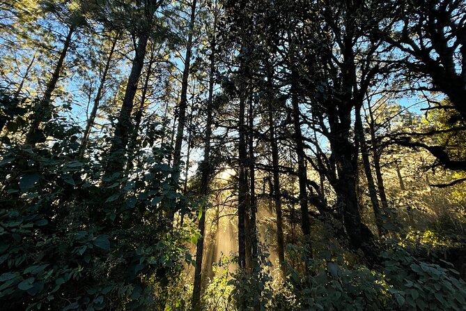 Hiking in the Sierra Norte of Oaxaca - Breakfast, Driving, and the Late-Morning Reality