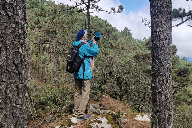 Hiking in the Sierra Norte of Oaxaca - The Pine-Oak Forest at 2,800 to 3,100 Meters