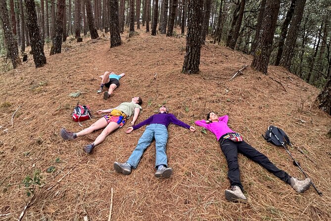 Hiking in the Sierra Norte of Oaxaca - Trail Mix, Water Refills, and the Little Things That Make It Work