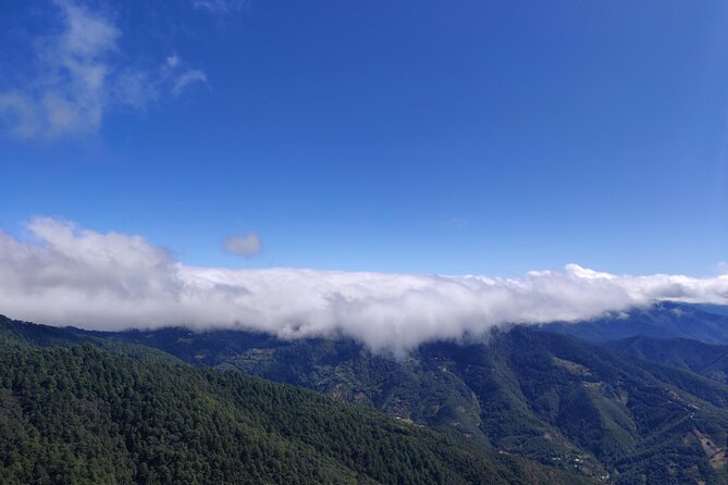 Hiking in the Sierra Norte of Oaxaca - Lunch and Dinner in Mountain Restaurants, Including Trout and Mushrooms