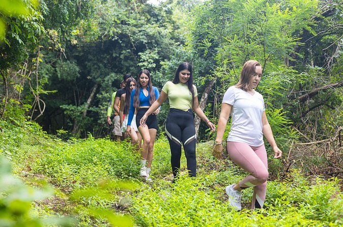 Hiking Jorullo Point - Wildlife spotting: macaws, parrots, and how the guide helps you see