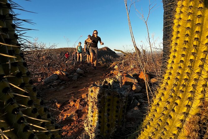 Hiking Todos Santos at Sunset - The 4-Mile, Rocky Climb at Sunset: What to Expect on Foot