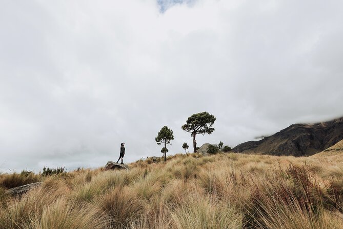 Hiking Tour on the Iztaccíhuatl Volcano from Puebla - Guides, and why their style matters more than you think