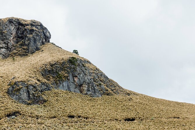Hiking Tour on the Iztaccíhuatl Volcano from Puebla - Price and value: what $126 gives you