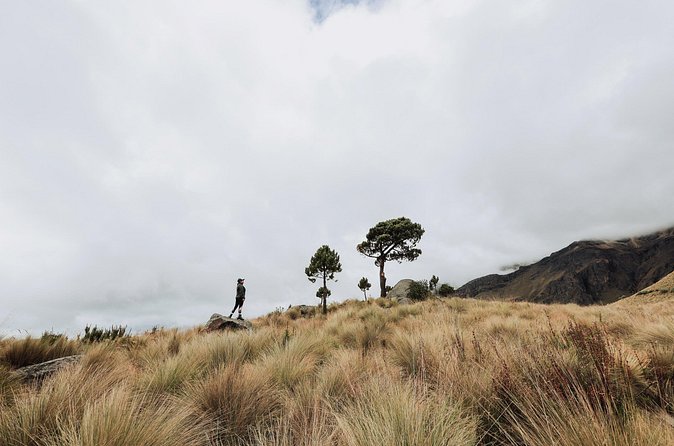 Hiking Tour on the Iztaccíhuatl Volcano from Puebla - Practical expectations for weather and results