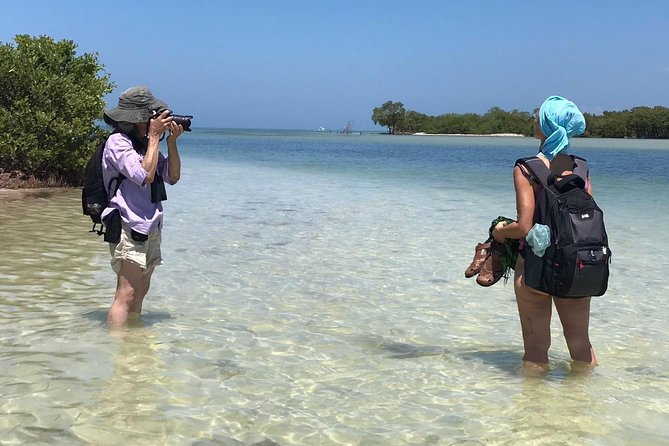 Holbox 3 Island Group Tour - Stop 3 Isla de la Pasión: where pink flamingos can show up