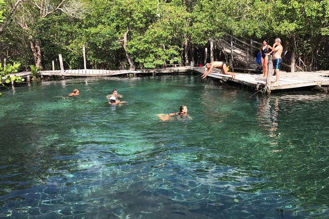 Holbox 3 Island Group Tour - Guides, English, and how to make the most of a 2.5 to 3-hour day