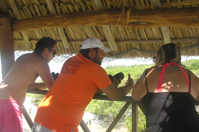 Holbox 3 Island Private Boat Tour - Naturalist Guide + Binoculars: The Real Reason This Trip Scores 4.8