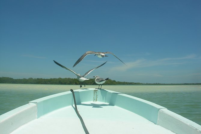 Holbox 3 Island Private Boat Tour - Timing on the Water: How a 2.5 to 3.5 Hour Trip Stays Enjoyable