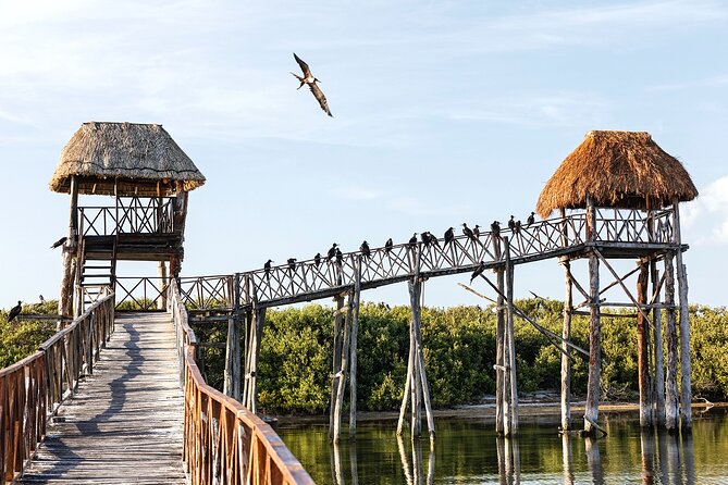 Holbox 3 Island Private Boat Tour - Value and Price: What You Get for Around $346.50 per Group