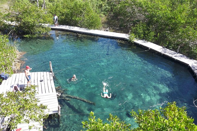 Holbox 3 Island Private Boat Tour - Getting Set Up at VIP Holbox and What Private Really Means Here