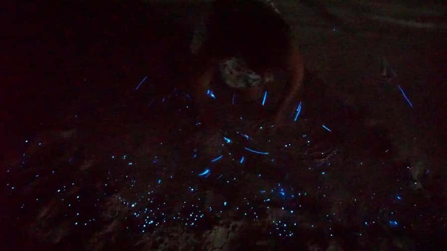 Holbox: Bioluminescence by Kayak and Stargazing. - What to bring, and what to leave behind so you can actually see it
