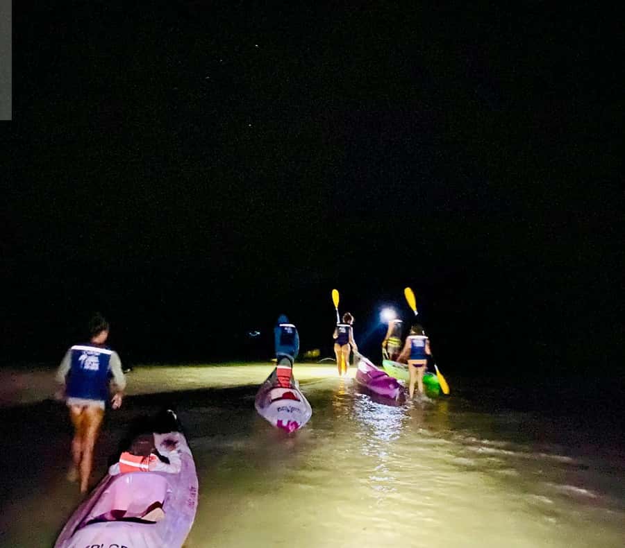 Holbox: Bioluminescence by Kayak and Stargazing. - From Holbox hotel to the water: pickup, Las Nubes, and the night mood