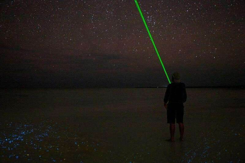 Holbox: Guided Bioluminescence Kayaking Tour - Key things I’d plan around
