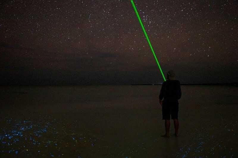 Holbox: Guided Bioluminescence Kayaking Tour - Price and Value: Is $49 Worth It?