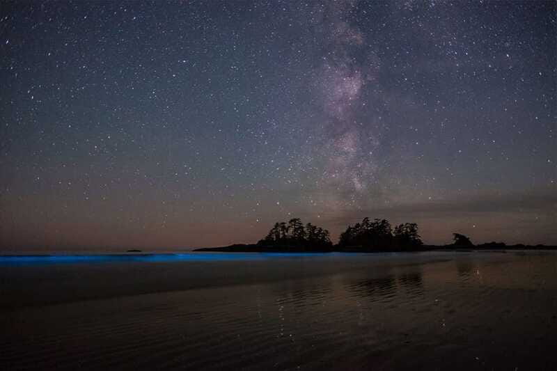 Holbox: Guided Bioluminescence Kayaking Tour - What to Bring: The Small Stuff That Saves Your Night