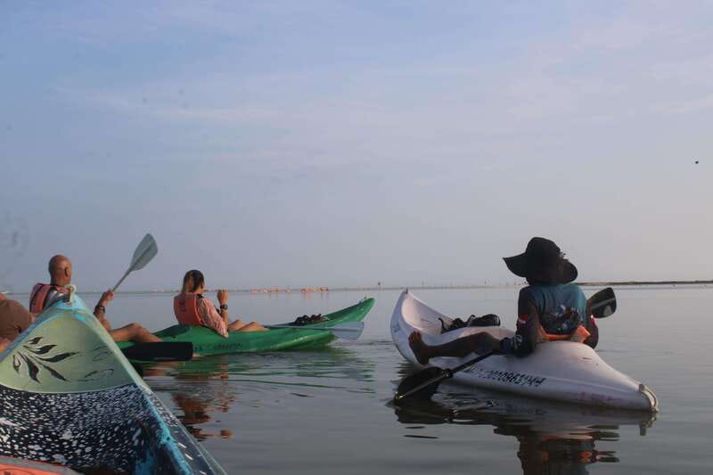 Holbox: Guided Sunrise/Sunset Kayak Tour by Mangrove Reserve - Key things I’d highlight before you go