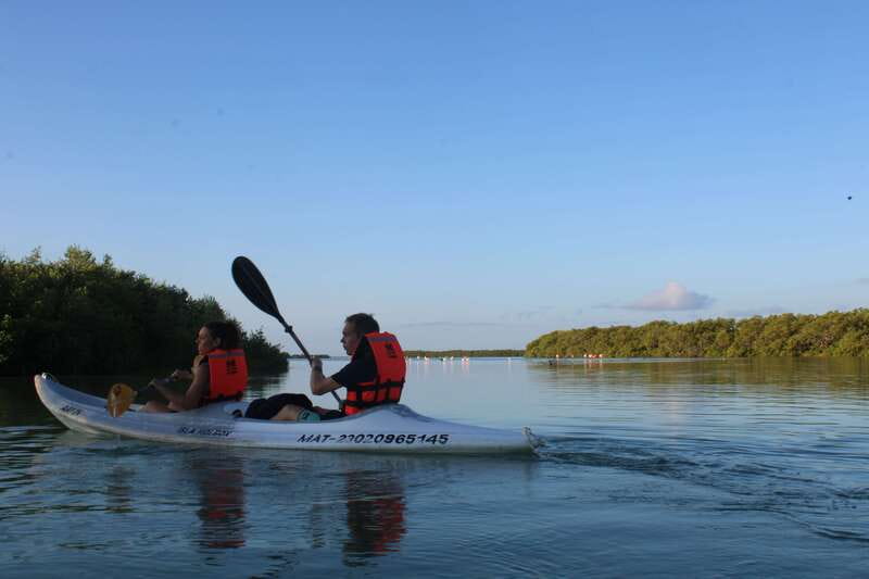 Holbox: Guided Sunrise/Sunset Kayak Tour by Mangrove Reserve - The mangrove reserve kayaking, gliding past wildlife without pushing it away