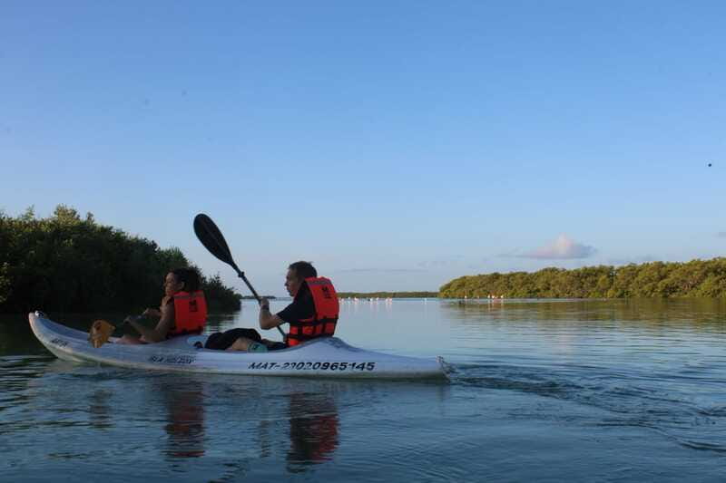 Holbox: Guided Sunrise/Sunset Kayak Tour by Mangrove Reserve - Price and value: is $49 worth a 3-hour wildlife kayak?