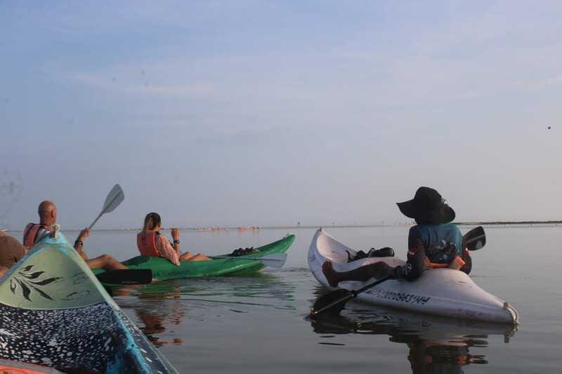 Holbox: Guided Sunrise/Sunset Kayak Tour by Mangrove Reserve - Timing, effort, and language: what to know so you enjoy it fully