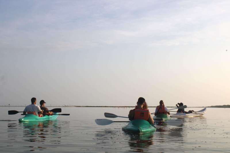 Holbox: Guided Sunrise/Sunset Kayak Tour by Mangrove Reserve - Golf cart pickup and a short transfer that keeps the morning stress-free