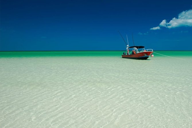Holbox Island Full Day Trip with Lunch From Playa del Carmen - Weather, running conditions, and why you need a flexible mindset