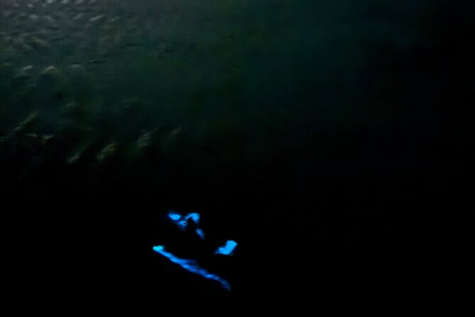 Holbox Kayak Bioluminescence Experience - The Night Sky Component: Milky Way Views and Constellation Stories