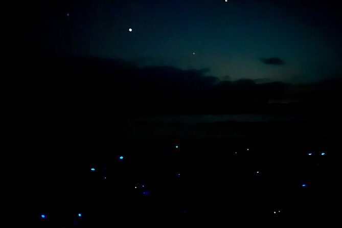 Holbox Kayak Bioluminescence Experience - Group Size and Guide Style: Why Small Feels Better Here