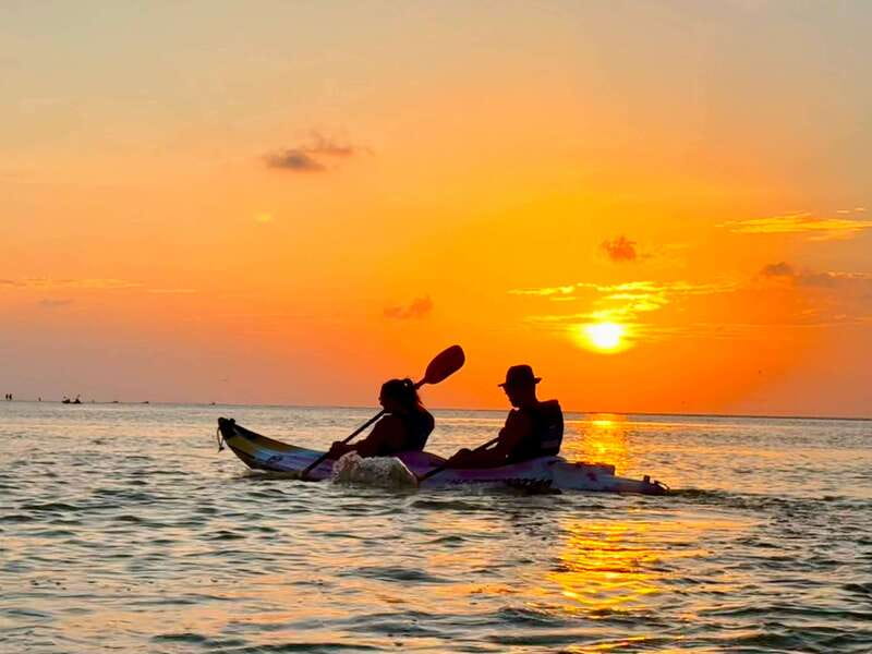 Holbox: Mangrove Sunset Kayak Tour - Key things to know before you paddle