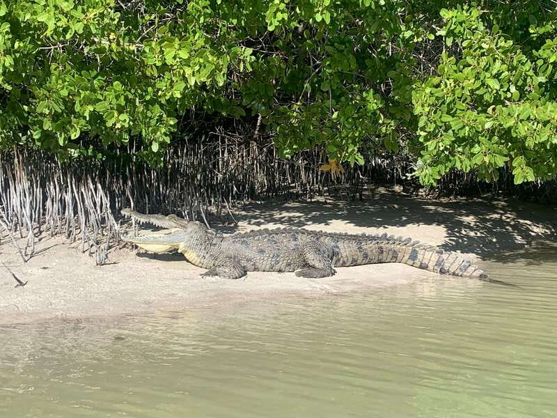 Holbox: Mangrove Sunset Kayak Tour - Weather, tide, and why flexibility matters here