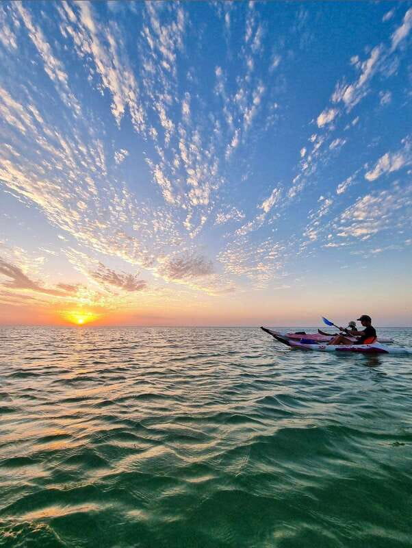 Holbox: Mangrove Sunset Kayak Tour - From flamingo kayaks to the river entrance