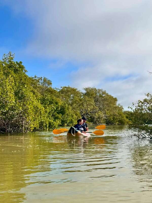 Holbox: Mangrove Sunset Kayak Tour - Gear, comfort, and what to bring from home