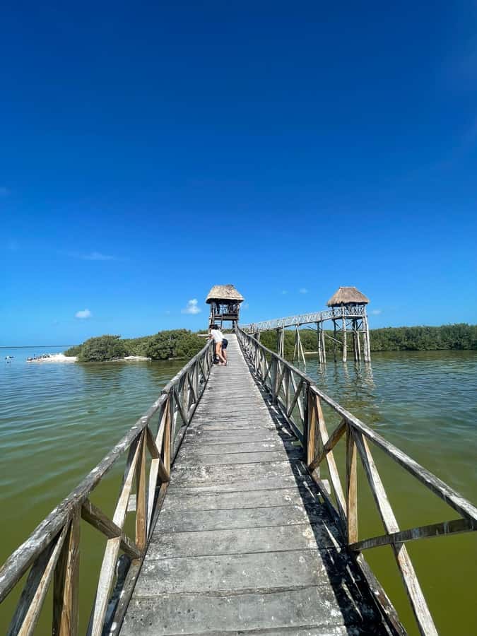 Holbox: Punta Mosquitos, Yalahau, & Pasión Island Boat Tour - Guide quality and language: how to set yourself up