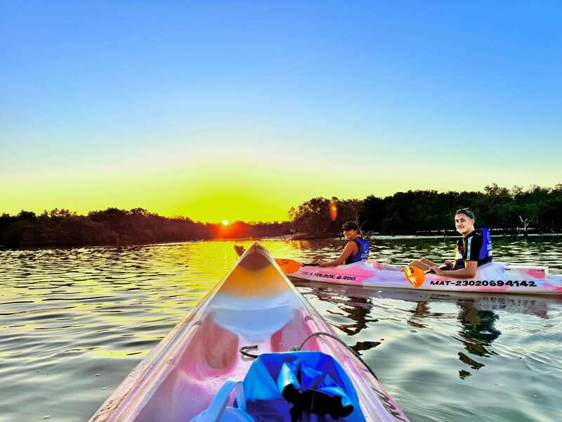 Holbox: Sunrise & Mangrove Kayak Tour - Key things I’d center in your planning
