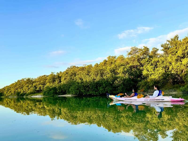 Holbox: Sunrise & Mangrove Kayak Tour - Who should book this Holbox sunrise kayak (and who should skip it)