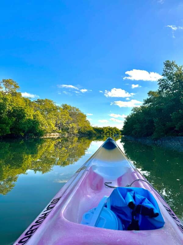 Holbox: Sunrise & Mangrove Kayak Tour - Entering the Kuká River: mangroves, birds, and the feeling of quiet