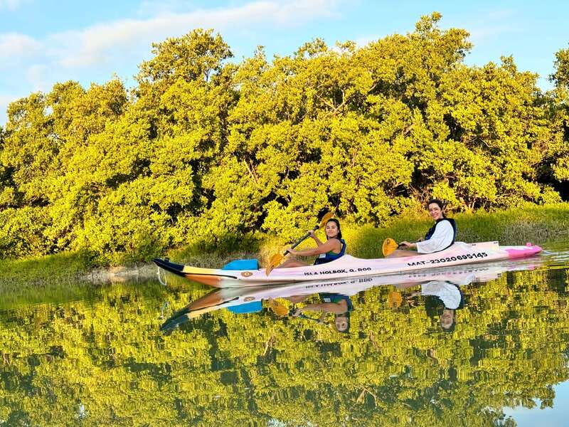 Holbox: Sunrise & Mangrove Kayak Tour - From hotel pickup to Punta Mosquito: the morning rhythm you’ll follow